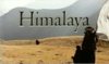 himalaya1.jpg