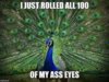 FB_IMG_1553020948468.jpg