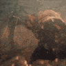 ezgif-4-d20f599e360a.gif