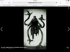 IMG_0071.PNG