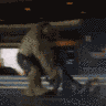 ezgif-2-e55acb18396d.gif
