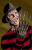 Freddy2019-scaled.jpg
