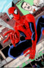 Spidey-Queens-DA.jpg
