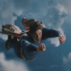 flipped.gif
