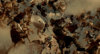 upload_2020-1-14_20-8-53.jpeg