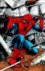 Spidey-rubble scaled.jpg