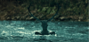 525BA2A7-09E7-4B80-A792-DC3D222005FA.png