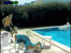 upload_2020-8-15_7-34-40.gif