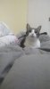 IMG_20200925_224645550.jpg