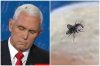 reekpence.jpg