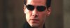 neo1.jpg