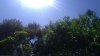 IMG_20201101_114910248.jpg