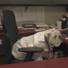 upload_2020-12-6_3-31-20.gif