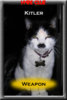 kitler.jpg