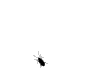 242249_avatar.gif