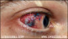 200707041317-pix1.jpg