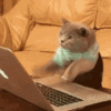 upload_2020-12-26_21-59-33.gif