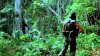 predator8.jpg