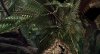 predator11.jpg