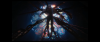 Screenshot_20210510-085735.png