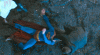 sup4.gif sup4.gif