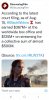Screenshot_20210821-152225_Twitter.jpg