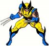 Wolverine.jpg