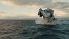 FrequentBlackandwhiteFish-max-1mb.gif