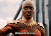89FA5A83-56CB-4639-A660-4652FAC10CB4.gif