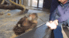 upload_2022-6-25_14-27-32.gif