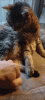 ezgif.com-gif-maker(3).gif