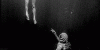 1F6AF03E-4758-4EBF-801D-88CD27CC6397.gif
