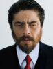 benicio-del-toro-3-1007-lg.jpg