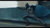 The Flash – Official Trailer (1440p_24fps_VP9-128kbit_AAC).mkv_20230213_164029.257.jpg