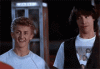 IMG_3987.gif