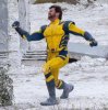 Wolverine.jpeg