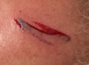 California Chainsaw-Trailer.png