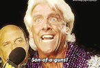 1696388755016.gif