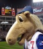 boringhorse.jpg