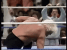 1698030748381.gif