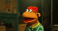 1698764775833.gif