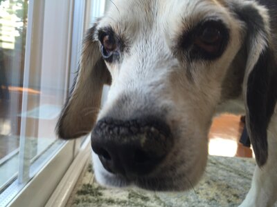 IMG_0394.jpeg