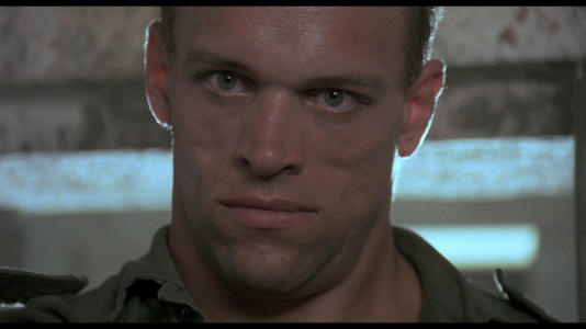 1701749380261.png 1701749380261.png