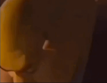 shrek-smirk-shrek-horny.gif shrek-smirk-shrek-horny.gif