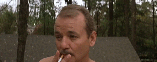 giphy (1).gif