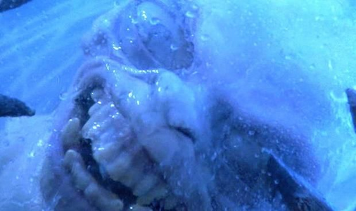 1706821103158.png 1706821103158.png