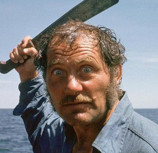 1707105868088.png 1707105868088.png