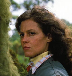 1707778561946.png 1707778561946.png