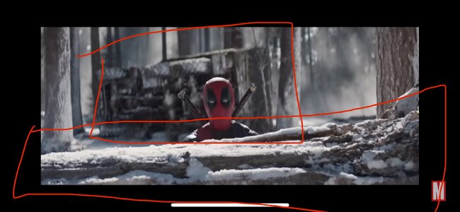 IMG_1224.jpeg IMG_1224.jpeg