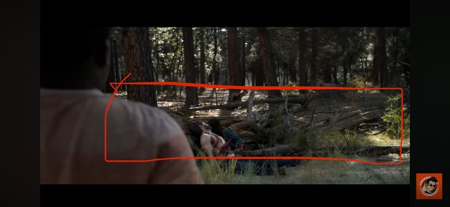 IMG_1230.jpeg IMG_1230.jpeg